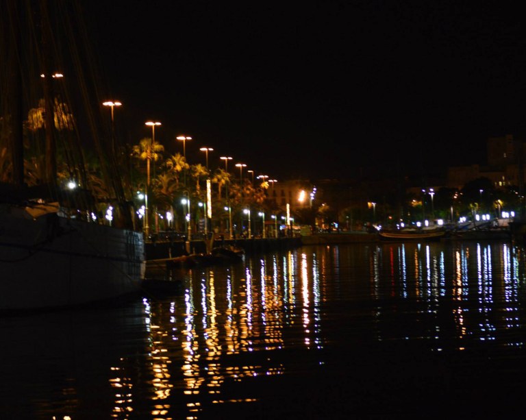 10333368_2816744663280_5061535222261324024_o_edited-1