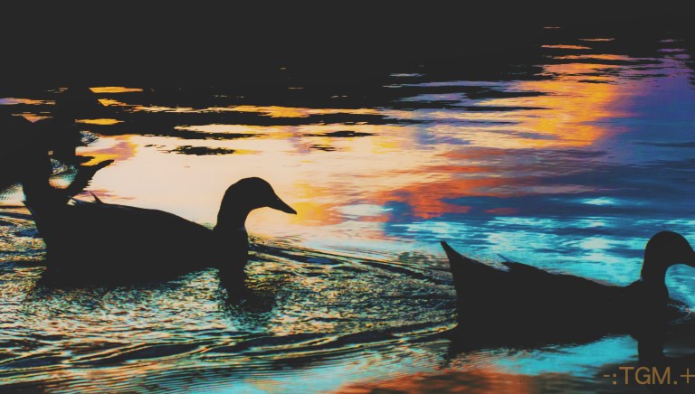 Processed with VSCO with c1 preset