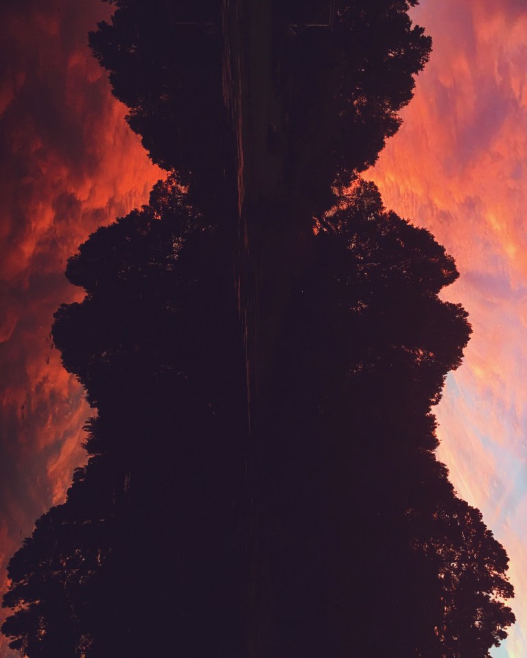 Processed with VSCO with p6 preset