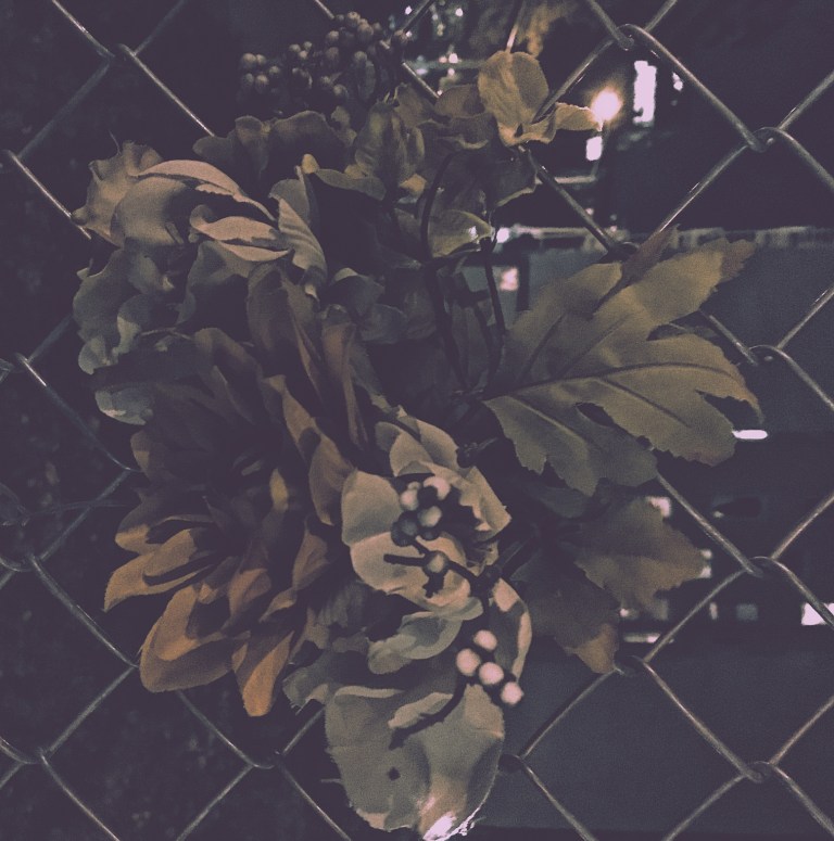 Processed with VSCO with tk preset