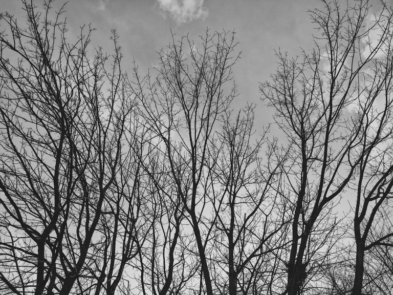 Processed with VSCO with b1 preset