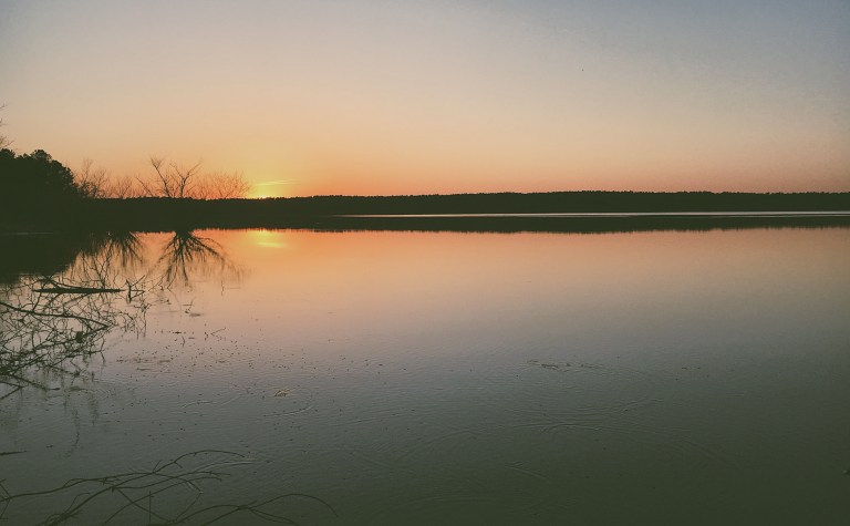 Processed with VSCO with m4 preset