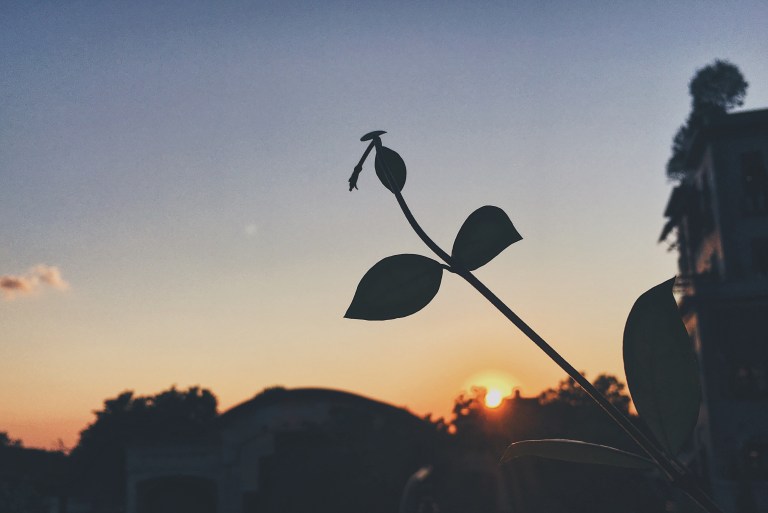 Processed with VSCO with hb1 preset