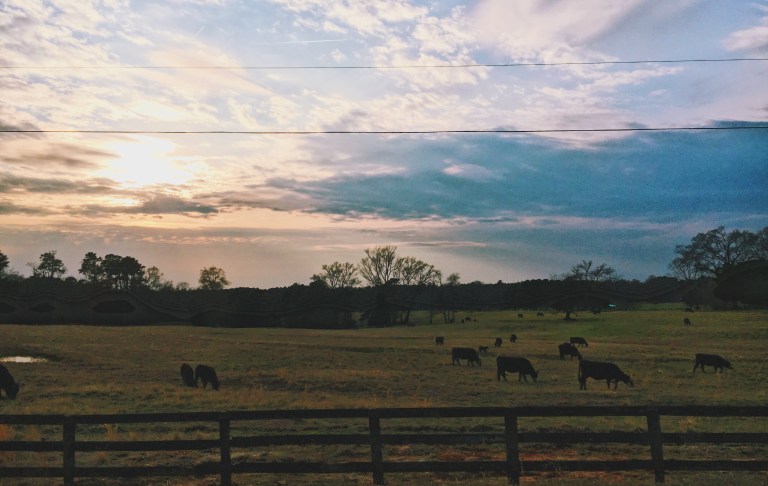 Processed with VSCO with k3 preset