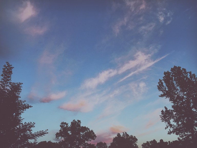 Processed with VSCO with m3 preset